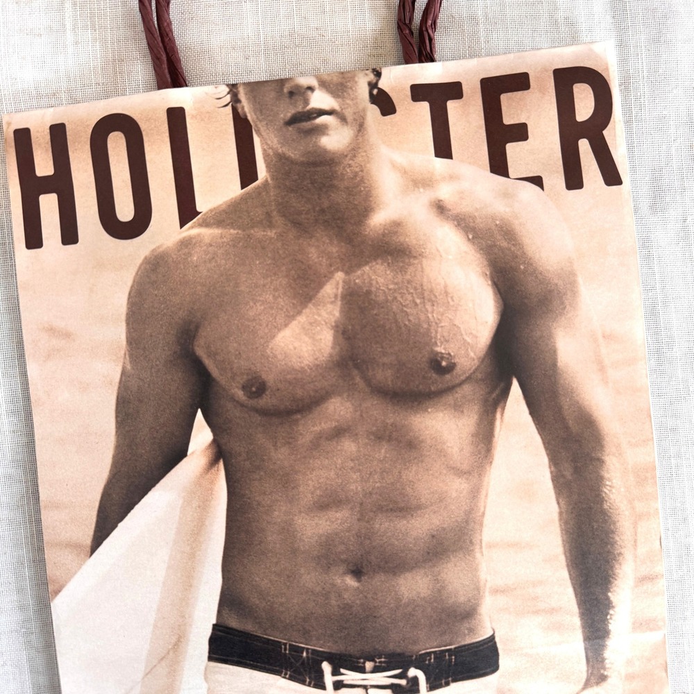 Y2K Vintage Hollister Co Paper Shopping Bag Shirtless Surfer Model Mid 2000s